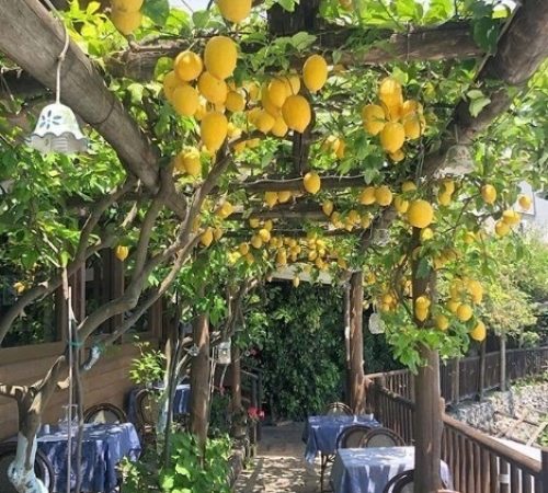 סורנטו